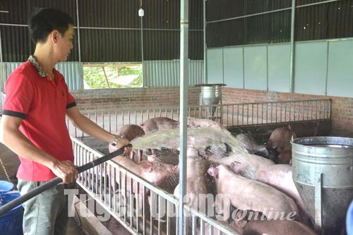 Đảm bảo nguồn cung thực phẩm cuối năm