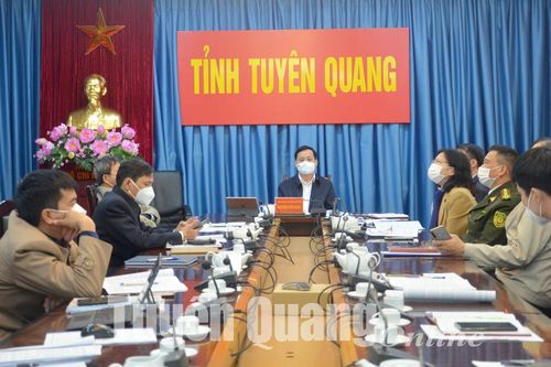 Đẩy mạnh phát triển kinh tế dưới tán rừng