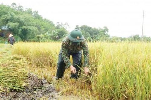 Chính trị - Xã hội An ninh - Quốc Phòng Nghĩa tình quân dân vùng cao