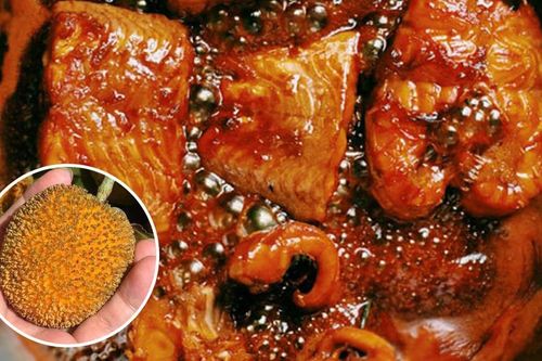 Quả gáo là quả gì mà người Ninh Bình lại dùng để kho cá, át được hết mùi tanh?