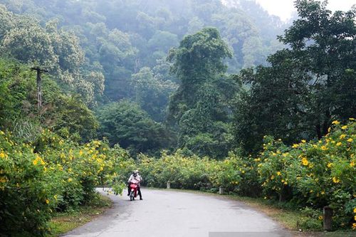 Hà Nội tiếp tục rét đậm, rét hại dịp cuối tuần
