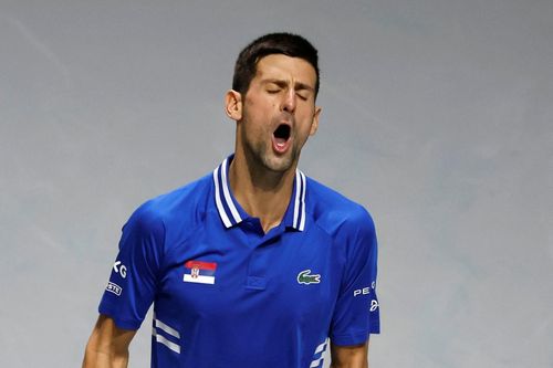 Djokovic không thể giúp Serbia vào chung kết Davis Cup