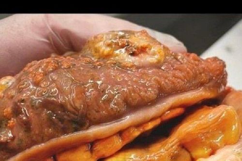 'Thợ săn thủy quái' bắt được con cá kỳ dị giống bánh mì kẹp thịt