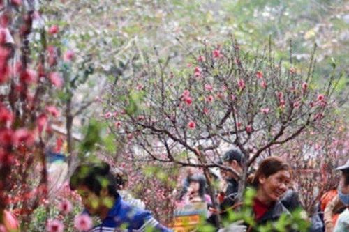 Chốt đề xuất nghỉ 9 ngày dịp Tết Nguyên đán Nhâm Dần 2022