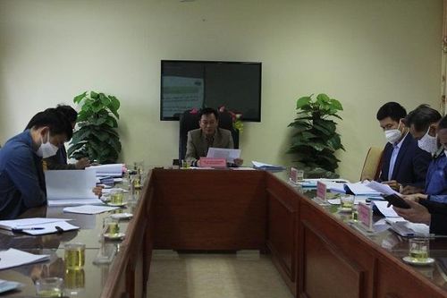 Bắc Giang: Nghiên cứu bảo tồn nguồn gen loài lim xanh
