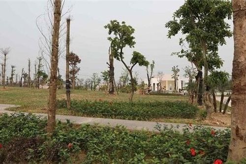 51 dự án đô thị tại Mê Linh chậm thực hiện