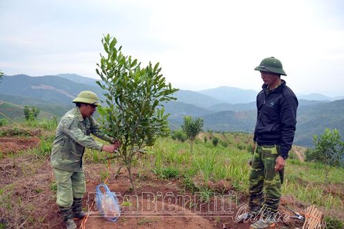 Tháo gỡ khó khăn các dự án mắc ca