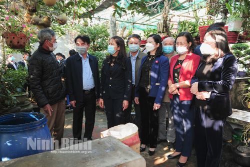 Yên Khánh: Tổng kết thực hiện mô hình điểm 'Phân loại xử lý rác thải tại nhà bằng chế phẩm sinh học'