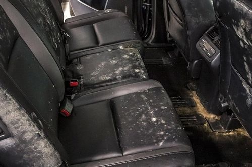 Cách xử lý nấm mốc trên ô tô lâu ngày không sử dụng