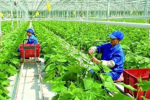 Việt Nam phối hợp với Ngân hàng Thế giới xây dựng hệ thống lương thực, thực phẩm xanh