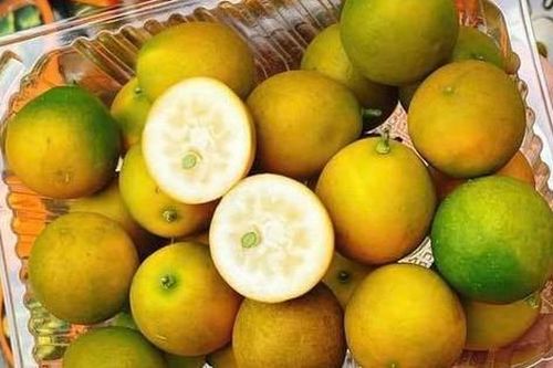 Loại quả từng gây sốt với giá gần nửa triệu bất ngờ 'rớt thảm', chưa đến 30.000 đồng/hộp