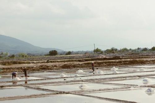 Nhọc nhằn trên những cánh đồng muối