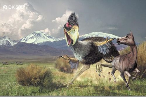 10 loài chim tiền sử ác hiểm nhất trên đời: Nghe tên đã run sợ!