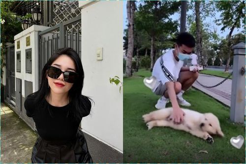 Sau drama của bạn trai, Linh Ngọc Đàm có động thái 'lạ'