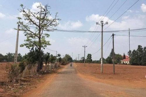 Phó Chủ tịch huyện ở Gia Lai bị khởi tố vì cho chuyển đổi đất trái quy định