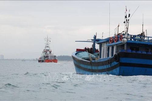 Cứu nạn thành công 11 thuyền viên tàu cá gặp nạn trên biển