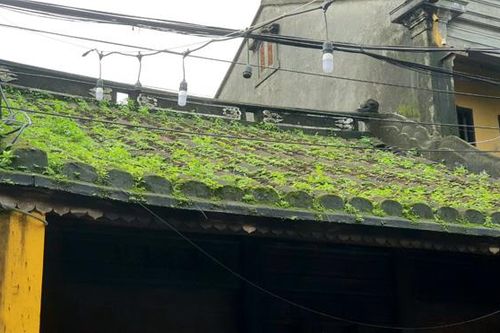 Nắng qua mái hiên