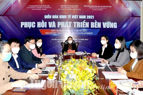 Diễn đàn kinh tế Việt Nam 2021 'Phục hồi và phát triển bền vững'