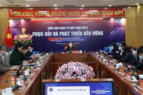 Diễn đàn Kinh tế Việt Nam 2021: Phục hồi và phát triển bền vững sau đại dịch