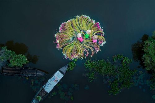 Vẻ đẹp đất nước, con người Việt Nam qua nghệ thuật nhiếp ảnh