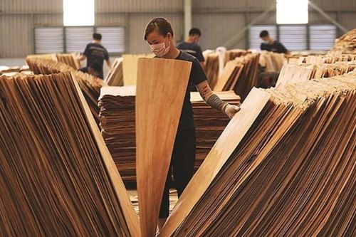 Ngành gỗ đang mất dần vị thế xuất siêu sang Trung Quốc