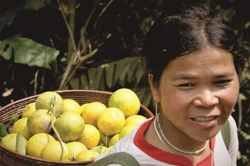 Bà con Cơ Tu ở biên giới Quảng Nam vào mùa 'trái vàng đặc sản'