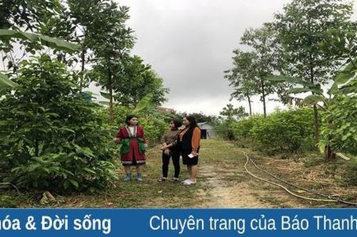 Cô gái trẻ với mô hình 'Vườn rừng bản Thổ'