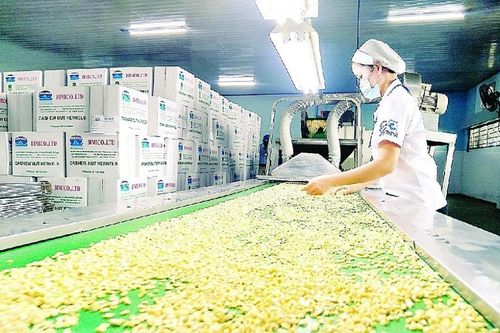 11 tháng, xuất khẩu hạt điều đạt trị giá 3,34 tỷ USD