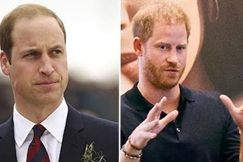 Hoàng tử Harry nói nếu làm việc không vui thì hãy nghỉ việc, dân mạng chê thiếu thực tế
