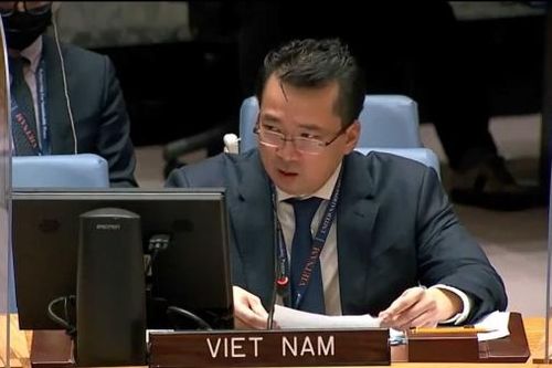 Hội đồng Bảo an nghe trao đổi về bất ổn gia tăng tại miền Đông CHDC Congo