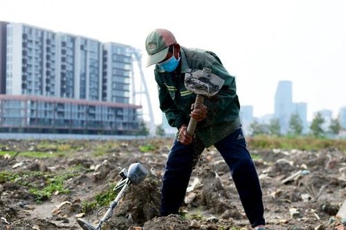 Hơn 20 năm người lính già miệt mài mót sắt ở TP. HCM