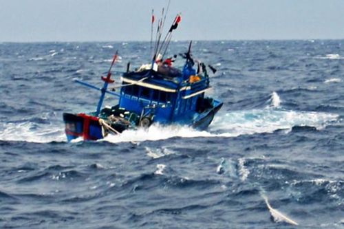 Truy tìm tàu nước ngoài đâm tàu cá chở 12 ngư dân rơi xuống biển