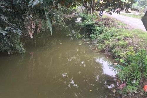 Nữ sinh lớp 10 tử nạn bí ẩn dưới ao
