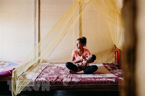 WHO: COVID-19 ảnh hưởng tới công tác phòng chống bệnh sốt rét
