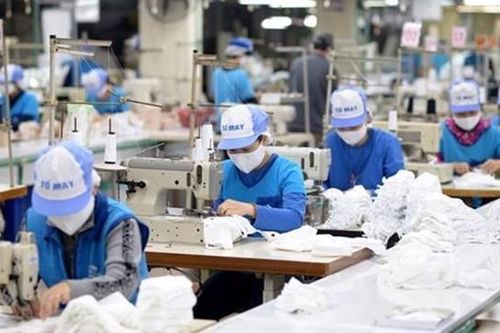 Giải pháp phục hồi thị trường lao động
