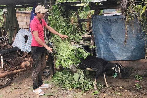 Đak Smar đột phá trong công tác giảm nghèo