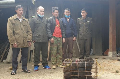 Tiếp nhận 3 cá thể khỉ mặt đỏ do người dân tự nguyện bàn giao