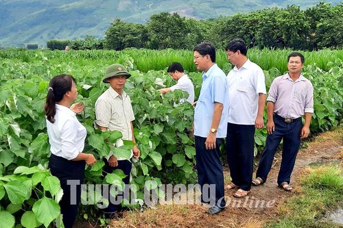 Khi nông dân không lấm bùn