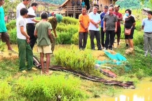 Nữ sinh mất tích bí ẩn: 2 ngày sau người dân tá hỏa phát hiện thi thể dưới ao cá gần nhà