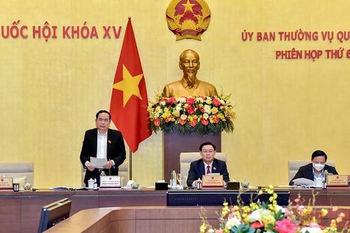 Đánh giá thận trọng, chắc chắn các chính sách đặc biệt, đặc thù