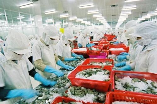 6 năm 'sóng gió' của doanh nghiệp thủy sản, chỉ vì một quy định