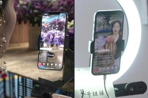 Chợ hoa lớn nhất châu Á thu hút người mua qua livestream
