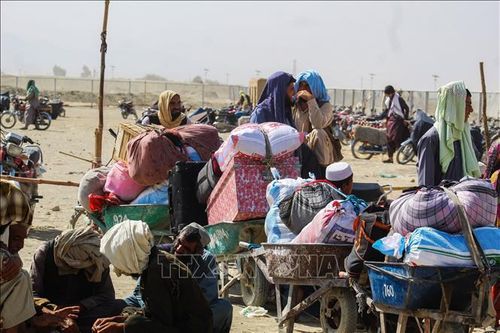 Tình hình Afghanistan: UNHCR kêu gọi tăng cường viện trợ kinh tế khẩn cấp