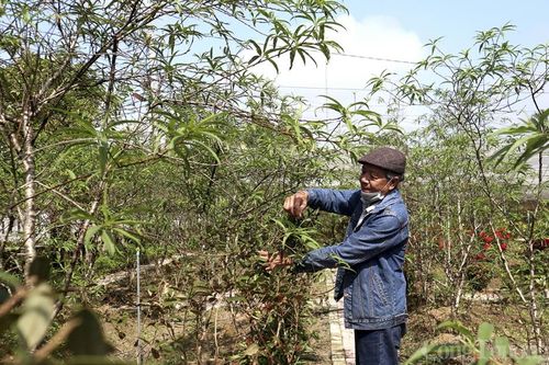 Các làng nghề truyền thống Nghệ An hối hả vào vụ Tết