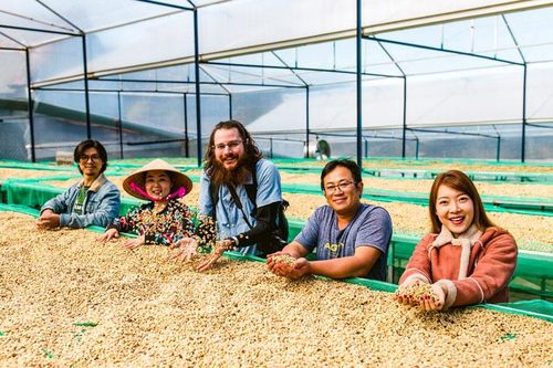 Hướng đến sản xuất cà phê hữu cơ