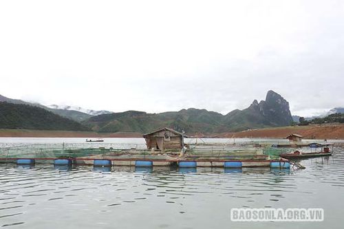 Mường La xây dựng tổ chức cơ sở Đảng trong sạch vững mạnh