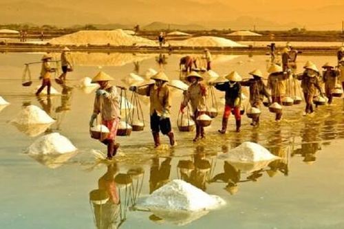 Khi cái nắng bỏng rát da thịt là ưu ái của thiên nhiên với diêm dân Ninh Thuận