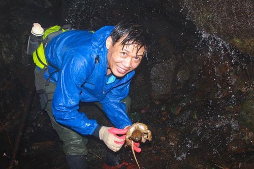 Nhiều khó khăn trong cứu hộ động vật hoang dã