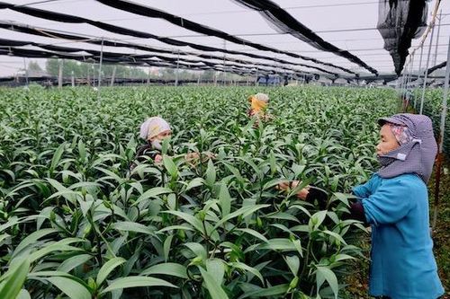 Bài 5: Nghị quyết 'tam nông' không thể thiếu trong tình hình mới