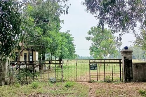 Hà Tĩnh: Cần sớm xử lý trại sản xuất giống thủy sản bỏ hoang nhiều năm